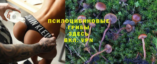 прущий лед Алексин