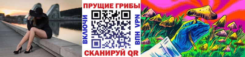 купить наркотик Бикин Псилоцибиновые грибы прущие грибы